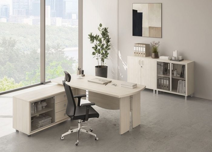 фото Кабинет руководителя Борн 3