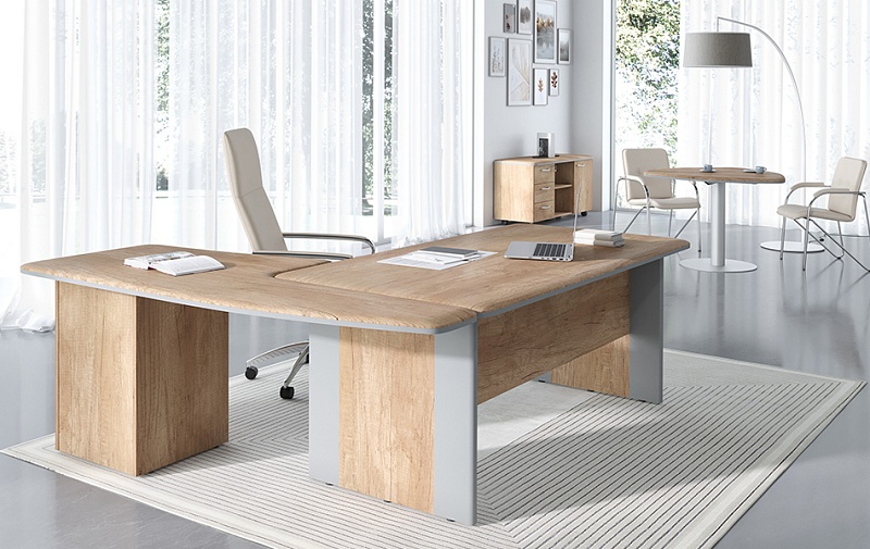 Мебель в кабинет руководителя Dioni