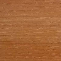 Ольха Европейская