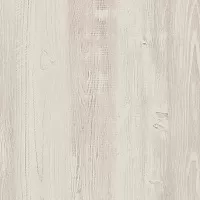 Сосна Эдмонт