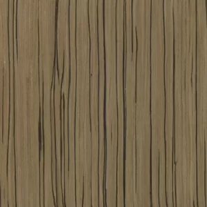 Эбен Арктик