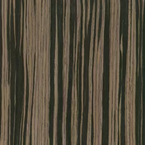 Эбен Темный